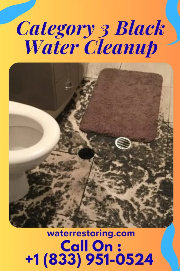 Category 3 Black Water Cleanup in Beresford, SD